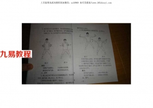 《金刚力功》之九功掌训练方法—九功神掌.pdf 于宪华 于海燕 百度云免费下载！