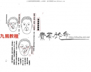 林文岭：林流相法面相气色全书.pdf 电子版 百度网盘资源免费下载！