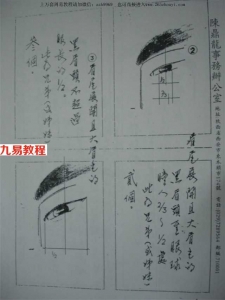 陈鼎龙面相过三关-兄弟关.pdf 电子版 百度网盘资源下载！