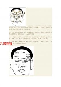 面相到底可不可以影响财运.pdf 详解电子版 百度云网盘免费下载！