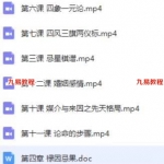 大花钦天四化紫微斗数视频共25节课程 百度云下载！