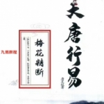唐友权-大唐行易《梅花精断》319页 ，高清电子版。