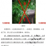 王山谷八卦微信头像49页，前面理论比赵禹钧讲的好。