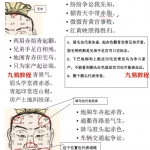 陈庆鹏安徽相法精英课程录像26集，带130页整理笔记！
