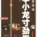 全图解李小龙寸劲拳.pdf 在线阅读 百度云免费下载！