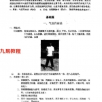 老子轻身术内炼法(栖心子).pdf 百度云网盘资源分享 免费下载！