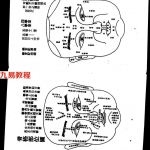 范柄檀 (道家)面相过三关.pdf 绝技真传 实战图解 秘诀合集 百度网盘提供下载！