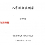 徐伟刚-八字综合实例集.pdf 完整电子版 百度云网盘免费下载！