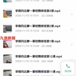 李佩袀～达摩一掌经线上培训课程视频讲解47集 +精修班12集 百度云