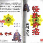 冲天居士李纯文-怪卦奇招实例演示.pdf 内部资料详集 百度云网盘资源下载！