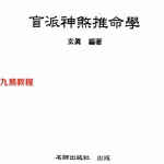 玄真盲派神煞推命学.pdf 185页 百度网盘下载！