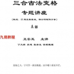 卫安玉三合古法变格专题讲座AB两册合集308页，高清电子书 百度云
