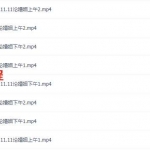 潘昭佑2017八字婚姻班8个视频 百度云下载！