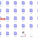 隋国明老师 四柱八字39集录音+讲义 百度云下载！