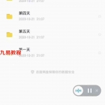 姚远八字课程，五天面授录音+加讲义 百度云下载！