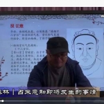 陈春林梅花神相断视频8集 百度云下载！