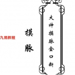 东北大神-《大神摸脉金口诀》.pdf 33页 摸脉原版 百度云下载！
