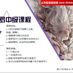残雪塔罗初中高阶课程录音+图片+讲义pdf 百度云下载！