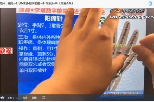 李斌数字能量一针疗法第二季实战训练营视频13集 百度云下载