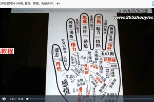玄学不玄手相系列14集视频 百度云下载！