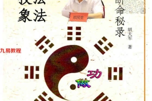 郑民生弟子 胡大军《盲师断命秘录》155页pdf 百度云下载！