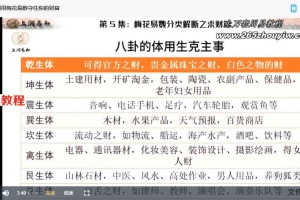 徐丙昕梅花分类预测课程 中级班课程12集视频 百度云下载！