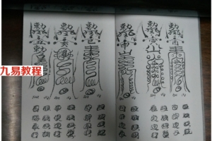 先天十二本寅 49页.pdf     百度云下载！