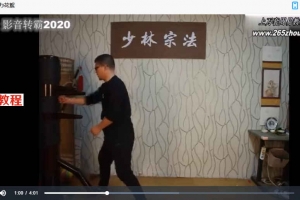 万千老师形意拳印掌14集视频 百度云下载！