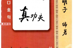 盲派真功夫 秘传瞎子铁口上千条 pdf 100页 百度云下载！