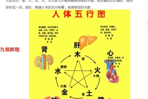 水晶与五行11页.pdf       百度云下载！