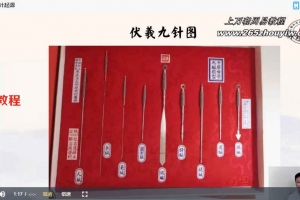 承文-易医绝技：伏羲九针缪刺疗法视频7集 百度云下载！