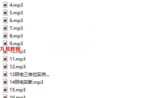 杜彦霖中华大玄空风水录音19集+13资料pdf 百度云下载！