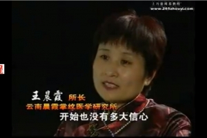 王晨霞-掌纹医学1集视频          百度云免费下载！