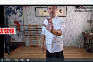 万千三圆掌一至五层功视频6集 百度云下载！