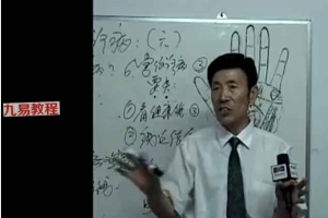 王守志-手诊讲座5集视频 百度云下载！