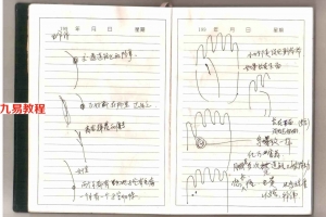 冲天居士李纯文手面相授徒讲课笔记.pdf 61页 百度云下载！