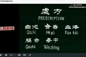中国针灸学30集视频 百度云下载！