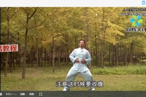 健身气功张琦八段锦视频3集 百度云免费下载！