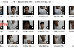 道医张泽森绝密针灸真传多套视频课程+资料pdf 百度云下载！