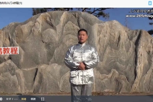 《站桩的秘密与练法》（11视频+1文档）百度云下载！