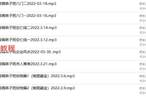 李秀娟空亡线八门企业风水录音八集 百度云下载！