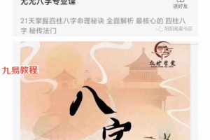 尤尤八字专业课视频20集 百度云下载！
