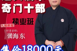 顾东海《通天法术奇门》奇门风水改旺法视频10集 百度云下载！