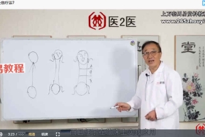 2019年张德成以指代针-指针疗法全息反射疗法治疗常见病 百度云
