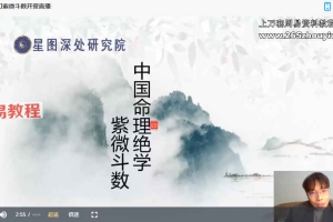 陈小飞《钦天门紫微斗数》初阶29集视频 百度云下载！