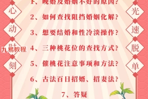 司天喜催桃花课程视频7集 百度云下载！