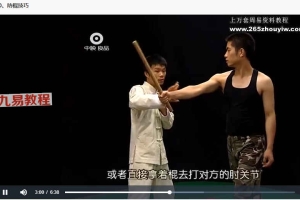 实战防身术课程视频17集 百度云下载！