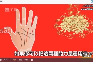 零基础入门到精通，真人案例，传统手相结合西方占星理论视频47集