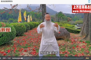 长安师智-道家混元桩详细系统教学10课视频 百度云免费下载！