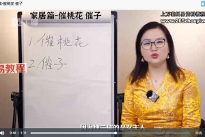 《环境能量学》课程视频27集 百度云下载！